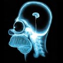 Post Thumbnail of My brain is fried